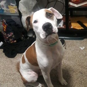 Meet your Posher, Tay